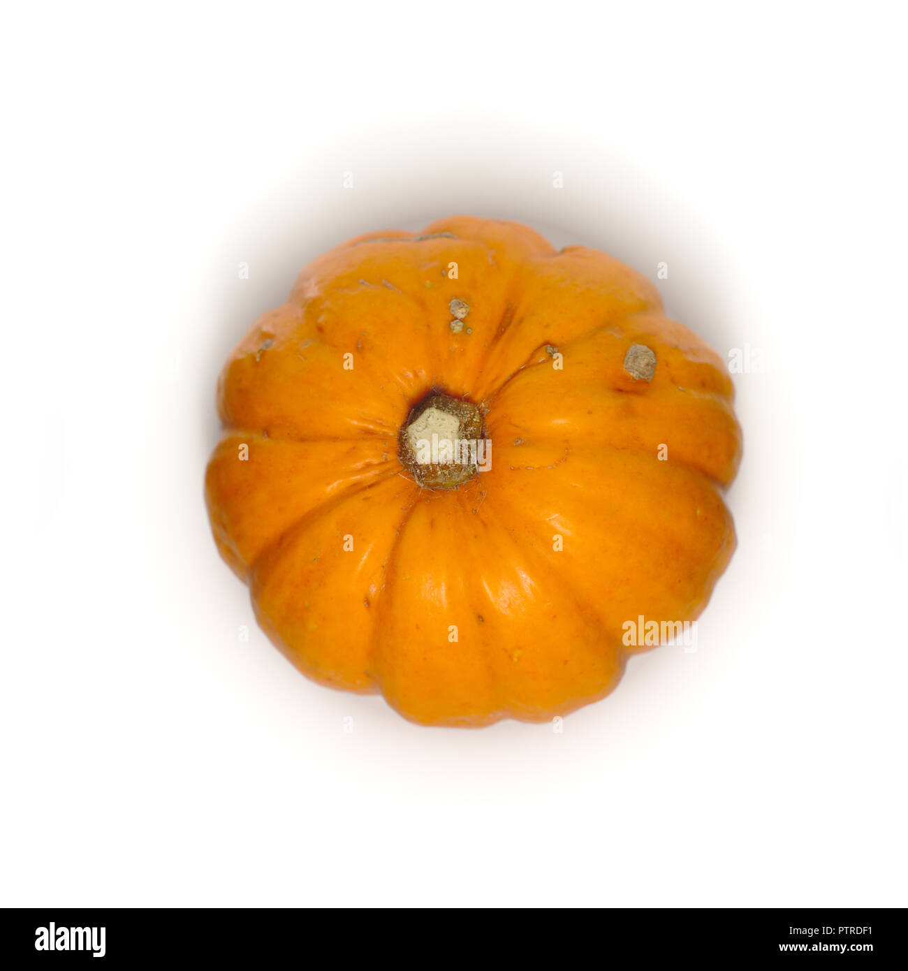 Pumpkin on a white background Stock Photo