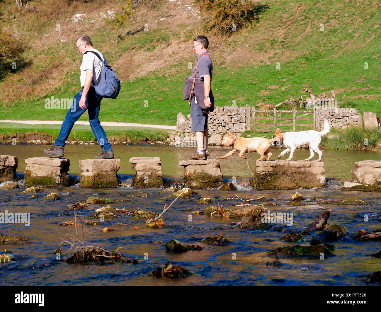 Peak District National Park, Derbyshire, UK. 10th October, 2018. UK Weather two men & two dogs crossing the stepping stones on an unusually hot sunny October day in the tourist hotspot of Dovedale in the Peak District National Park, Derbyshire Credit: Doug Blane/Alamy Live News Stock Photo