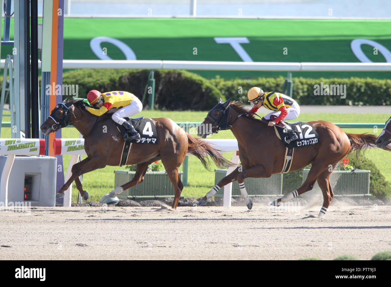 Kyoto Japan 8th Oct 2018 L R Tateyama Kohei Matsuyama Hip Hop Swan Yuichi Fukunaga Horse Racing Tateyama Ridden By Kohei Matsuyama Wins The Kyoto 9r Maruyama Tokubetsu At Kyoto Racecourse In