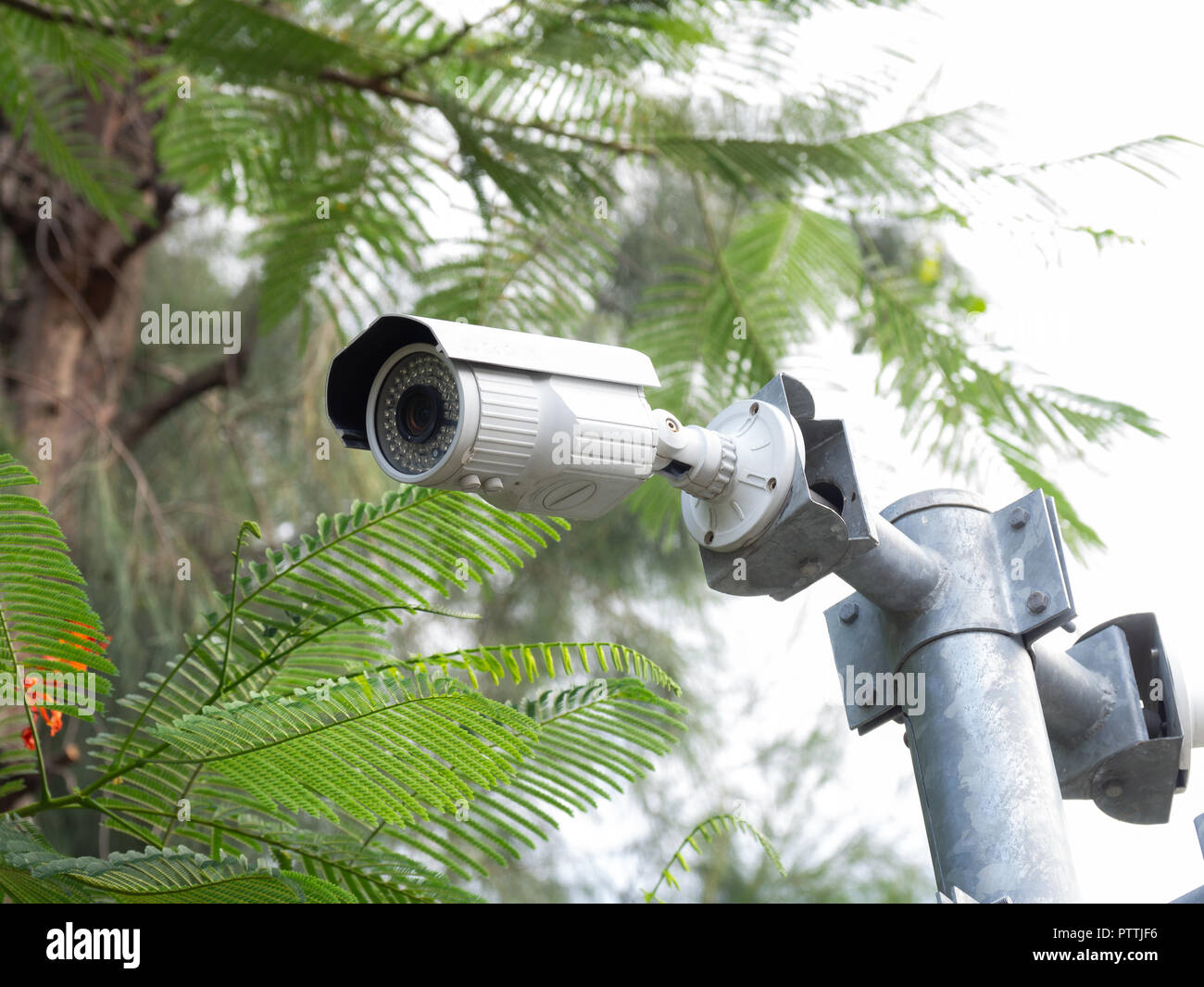 CCTV security camera installed in village for security guard monitoring