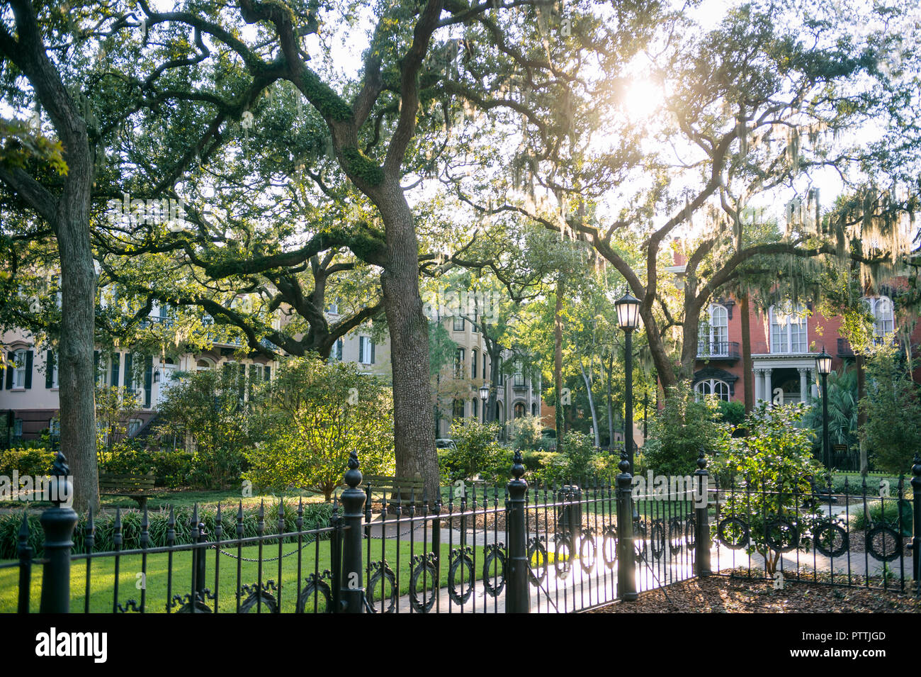 Bright scenic view of green parkland with sun shining through Spanish