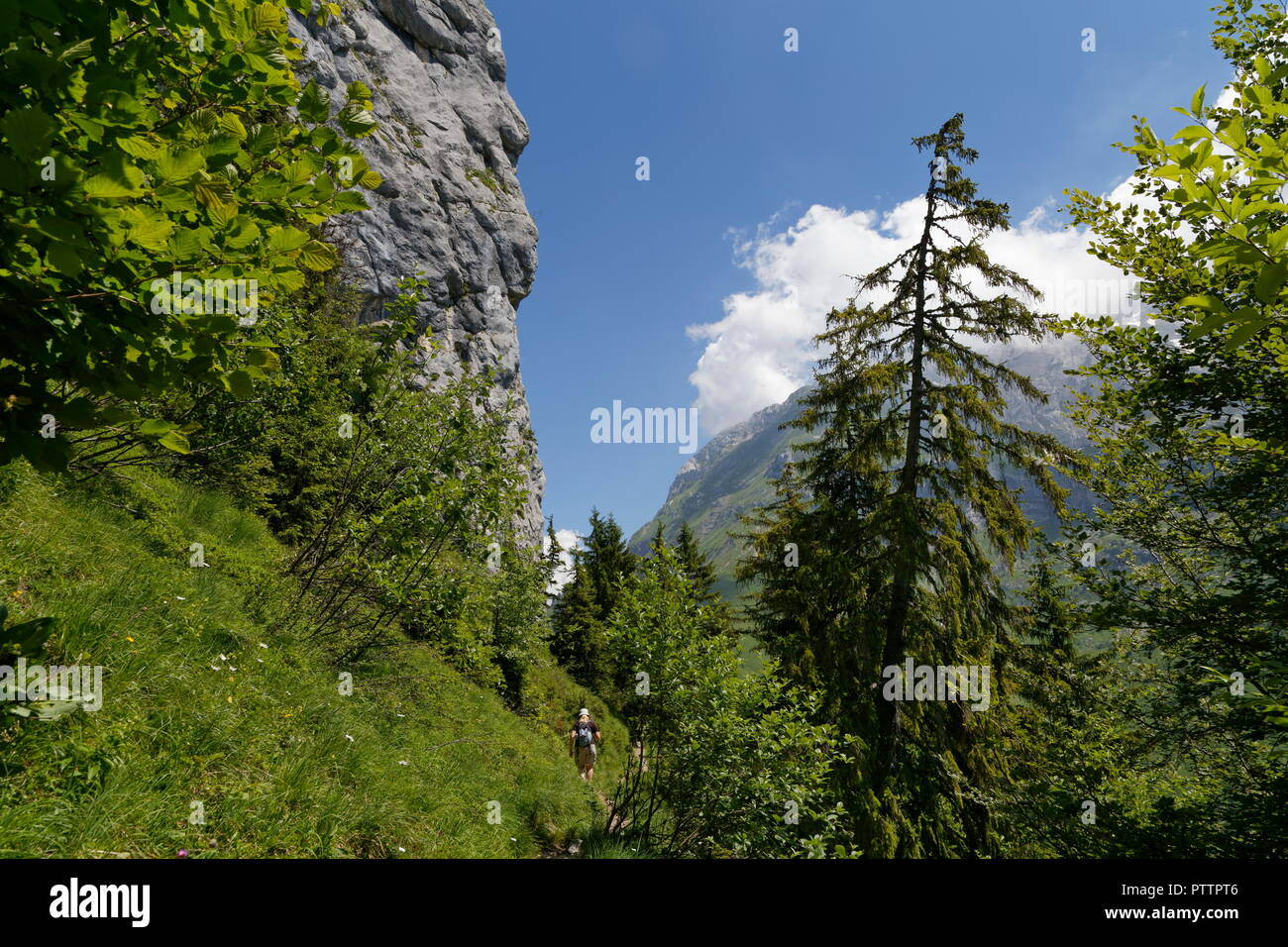 Landscape view with a female hiker on a footpath trail through forests and mountains around Col de la Forclaz France Stock Photo
