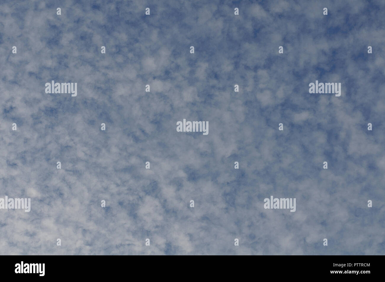 cotton wool clouds at blue morning sky Stock Photo Alamy