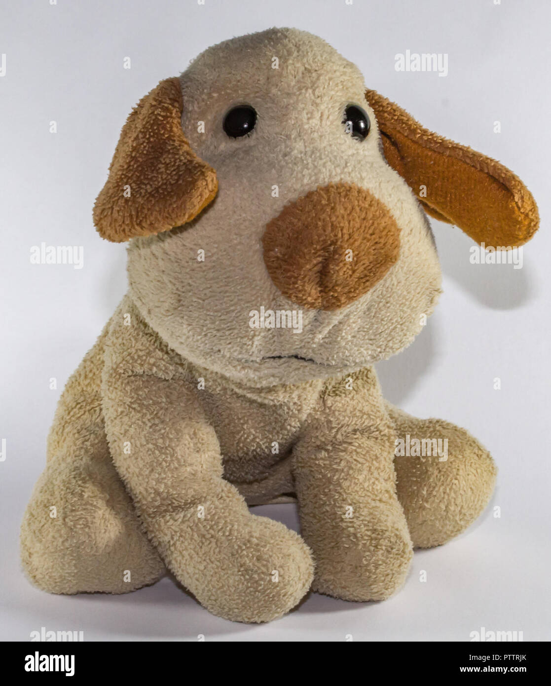 Plush dog, body in beige color and big ears in brown color, background in white color. Stock Photo