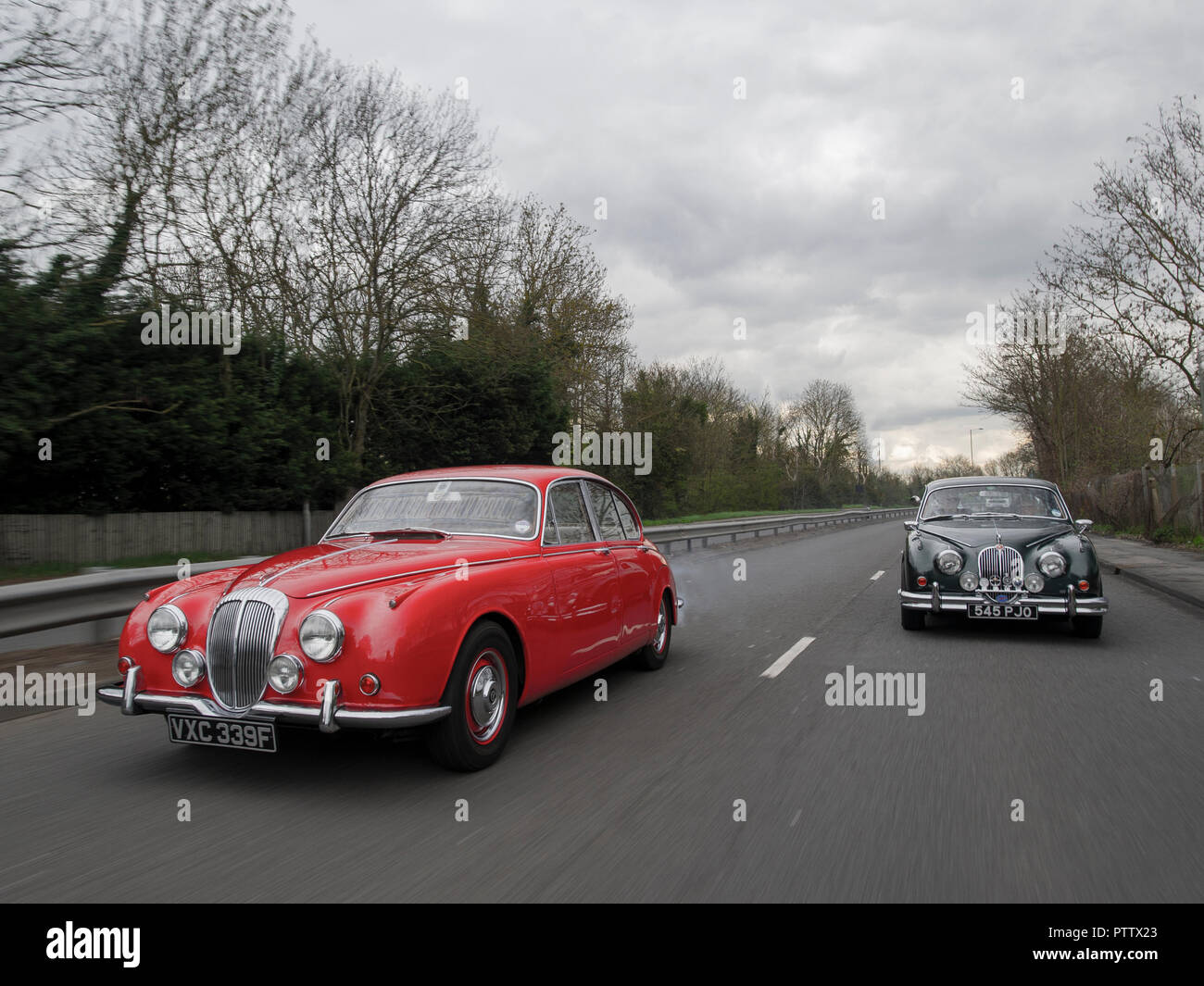Mk2 Jaguar and Daimler V8 classic cars, badge engineered to use the same bodyshell Stock Photo