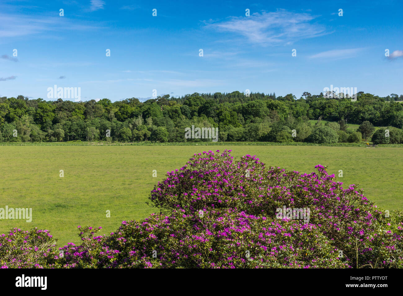 Cumnock hires stock photography and images Alamy