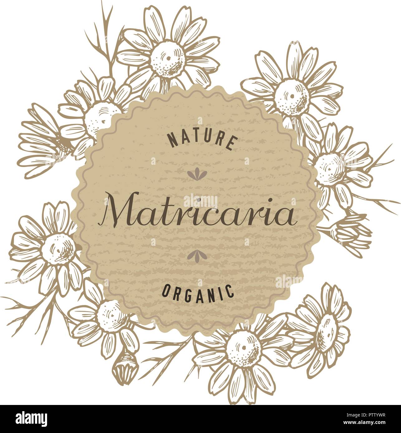 Round paper emblem over chamomiles. Hand drawn vector illustration Stock Vector