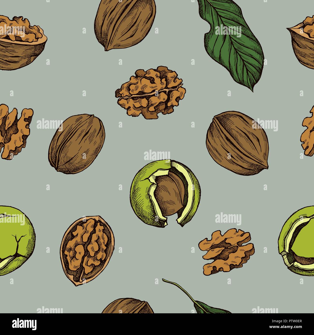 Vector seamless pattern of walnuts. Hand drawn vector illustration Stock Vector