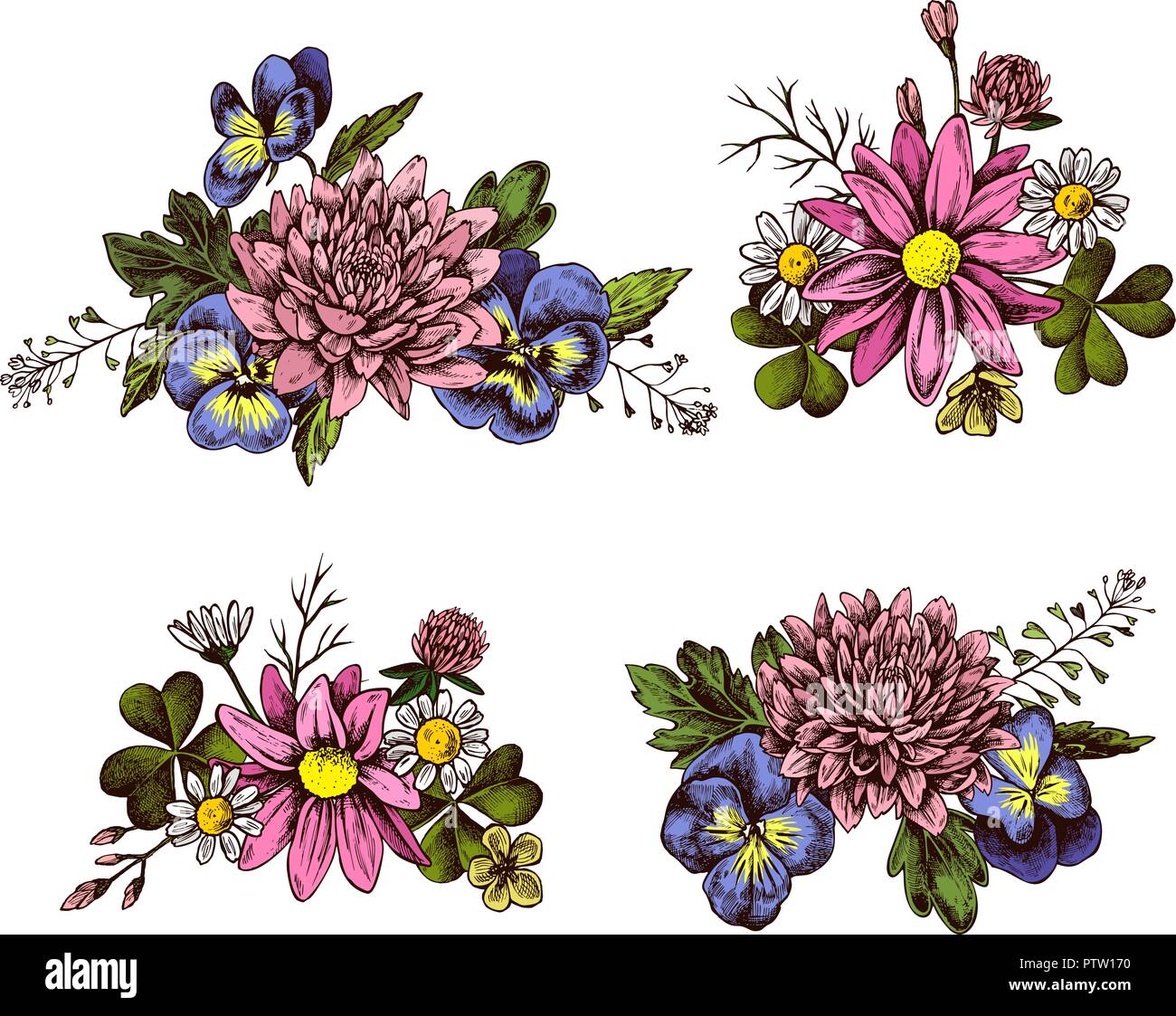 Vector collection of hand drawn heartseases, asters, primulas, chrysanthemum Stock Vector