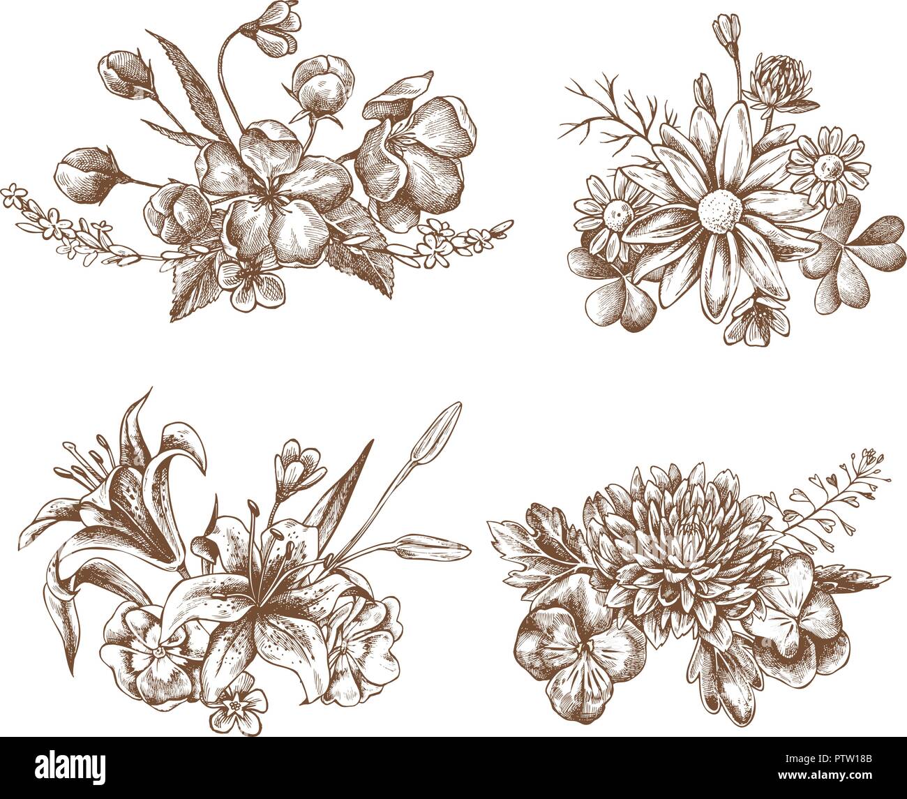 Vector collection of hand drawn heartseases, asters, primulas, Stock Vector