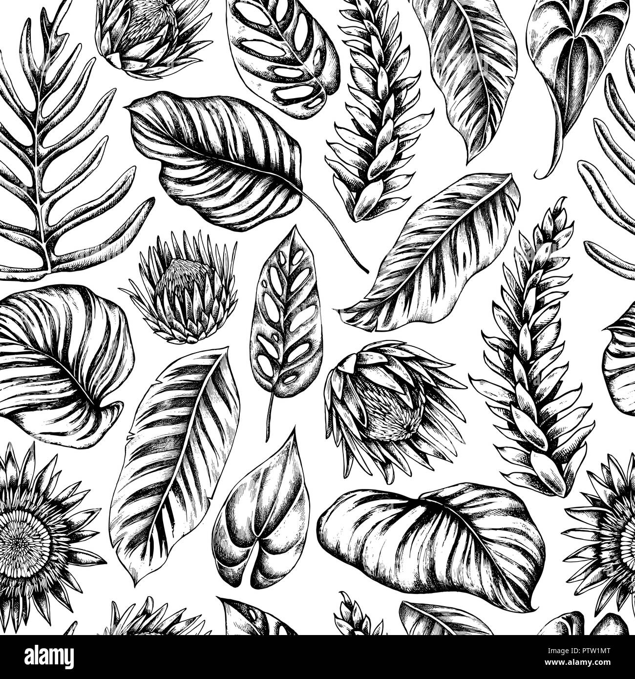 Vector seamless pattern of palm leaves and calathea. Hand drawn vector illustration Stock Vector