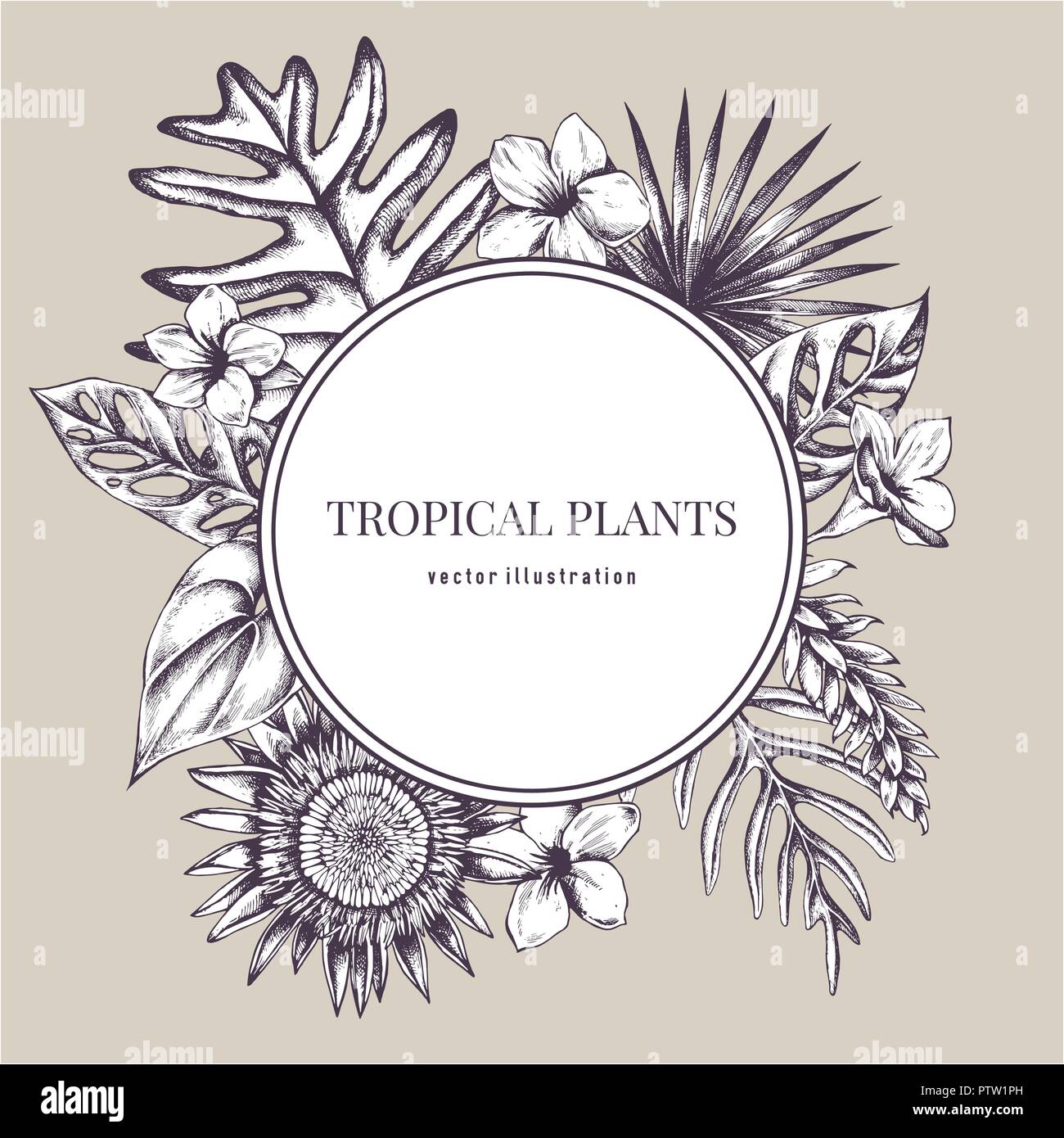 Round paper emblem over tropical plants. Hand drawn vector illustration Stock Vector