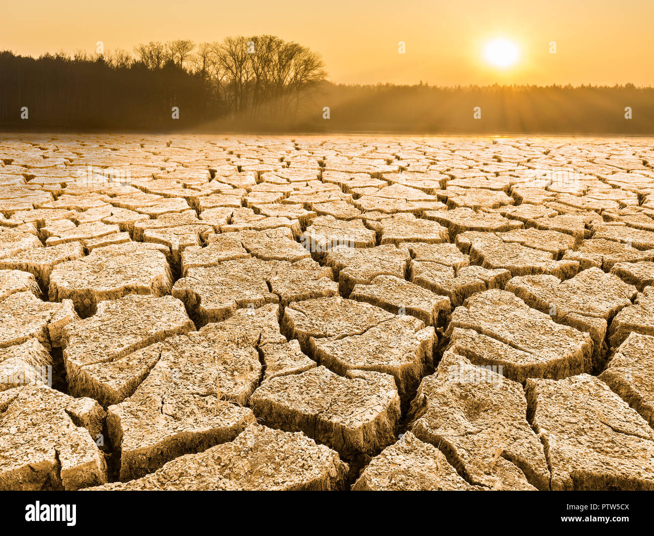 Parched cracked soil in landscape at sunrise. Close-up of drought in a sunlit waterless nature. View of forest, sky and glowing sun in a background. Stock Photo