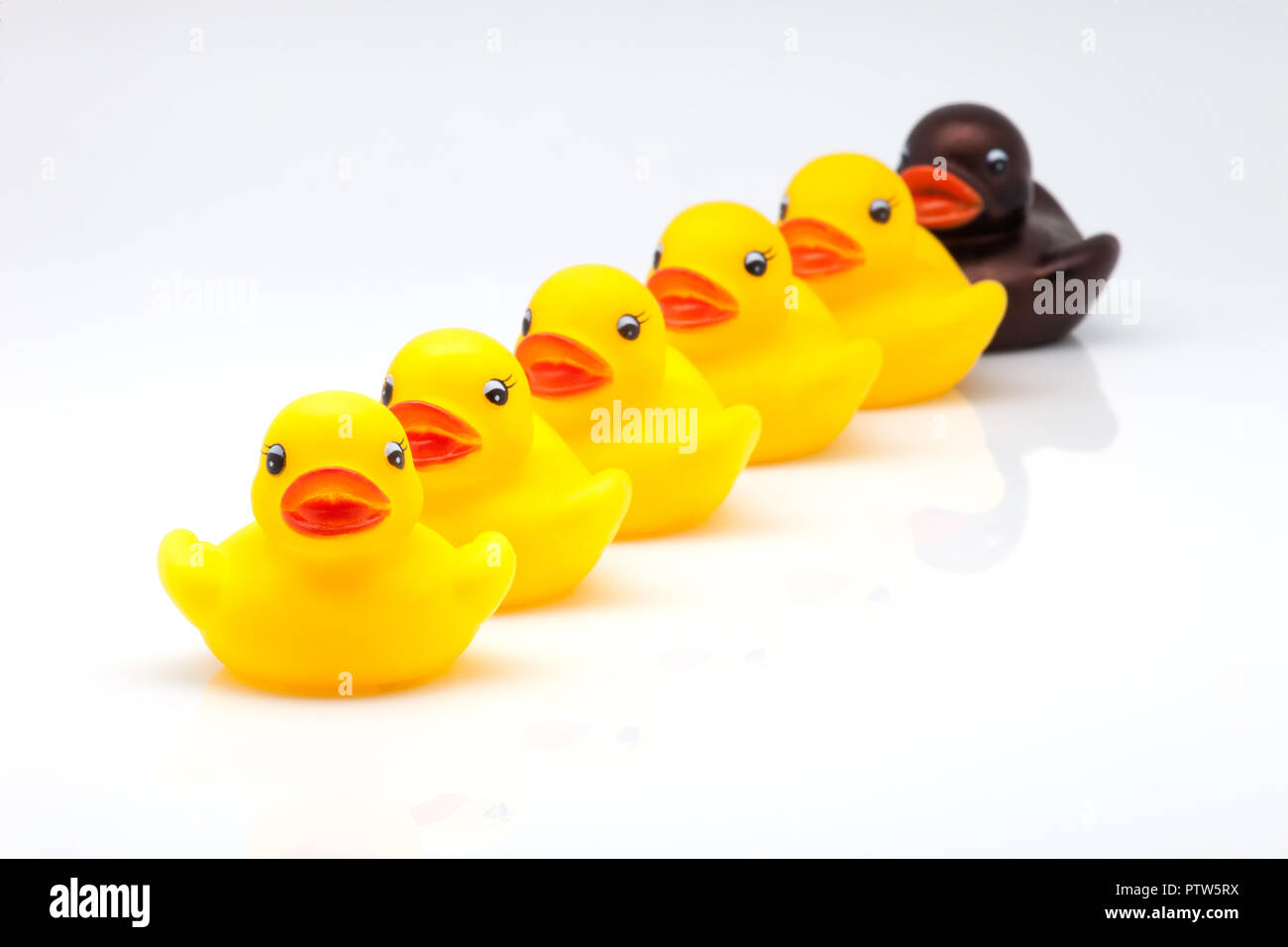 row of rubber ducks on white background Stock Photo - Alamy