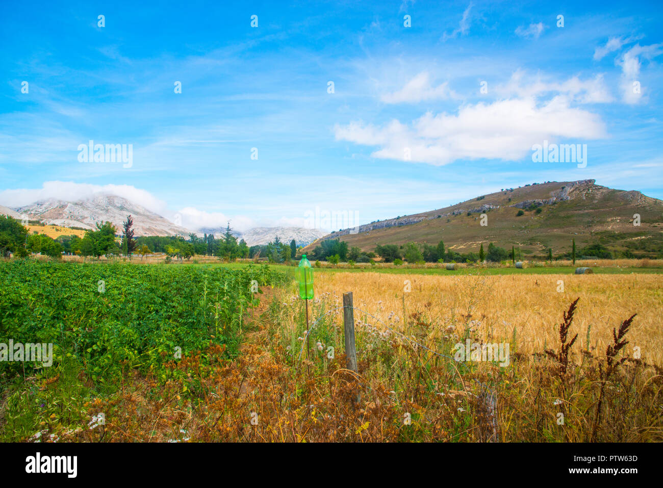 Campo de cultivo de cereales hi-res stock photography and images - Alamy