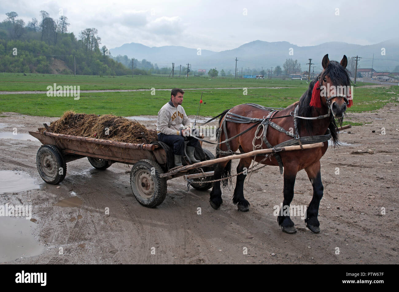 Local farmer driving horse cart, Romania Stock Photo - Alamy