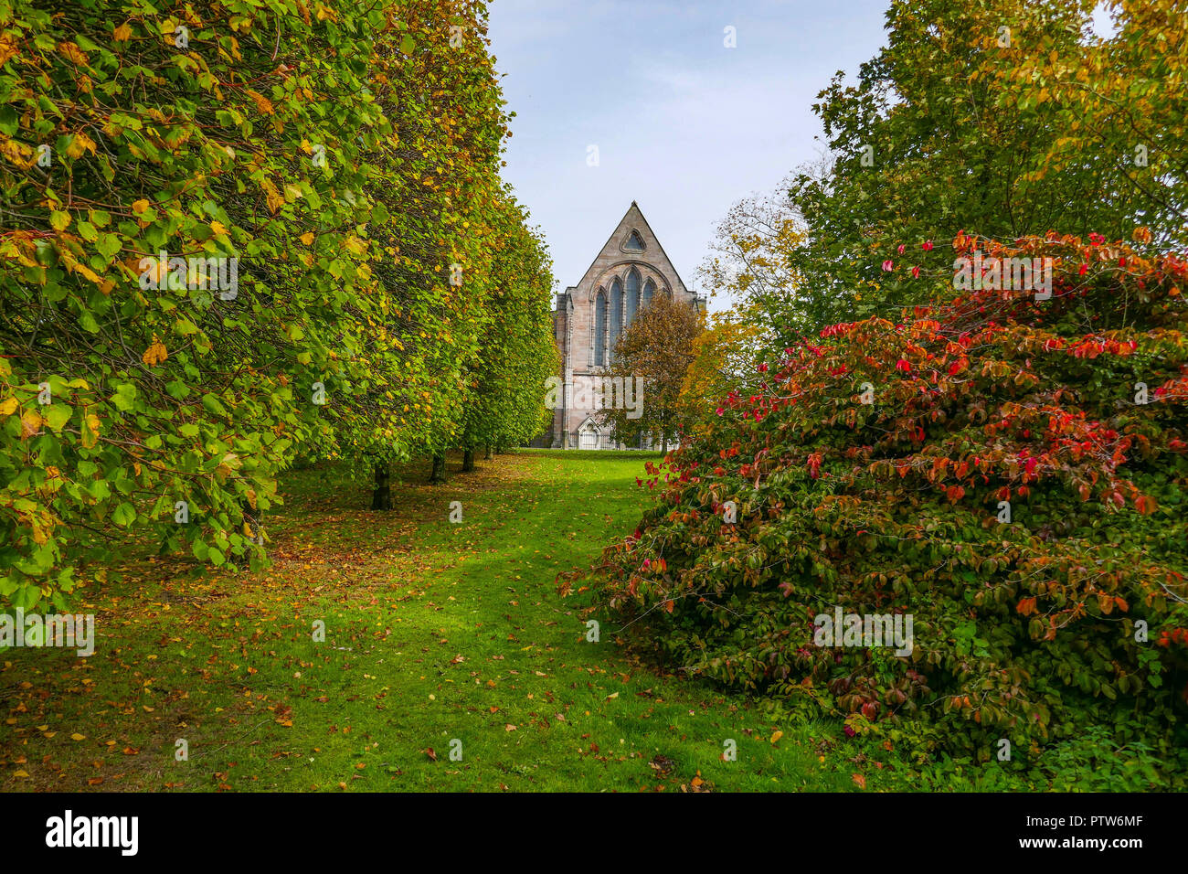 Autumn colours, near Brough Hall, Richmond, North Yorkshire, England