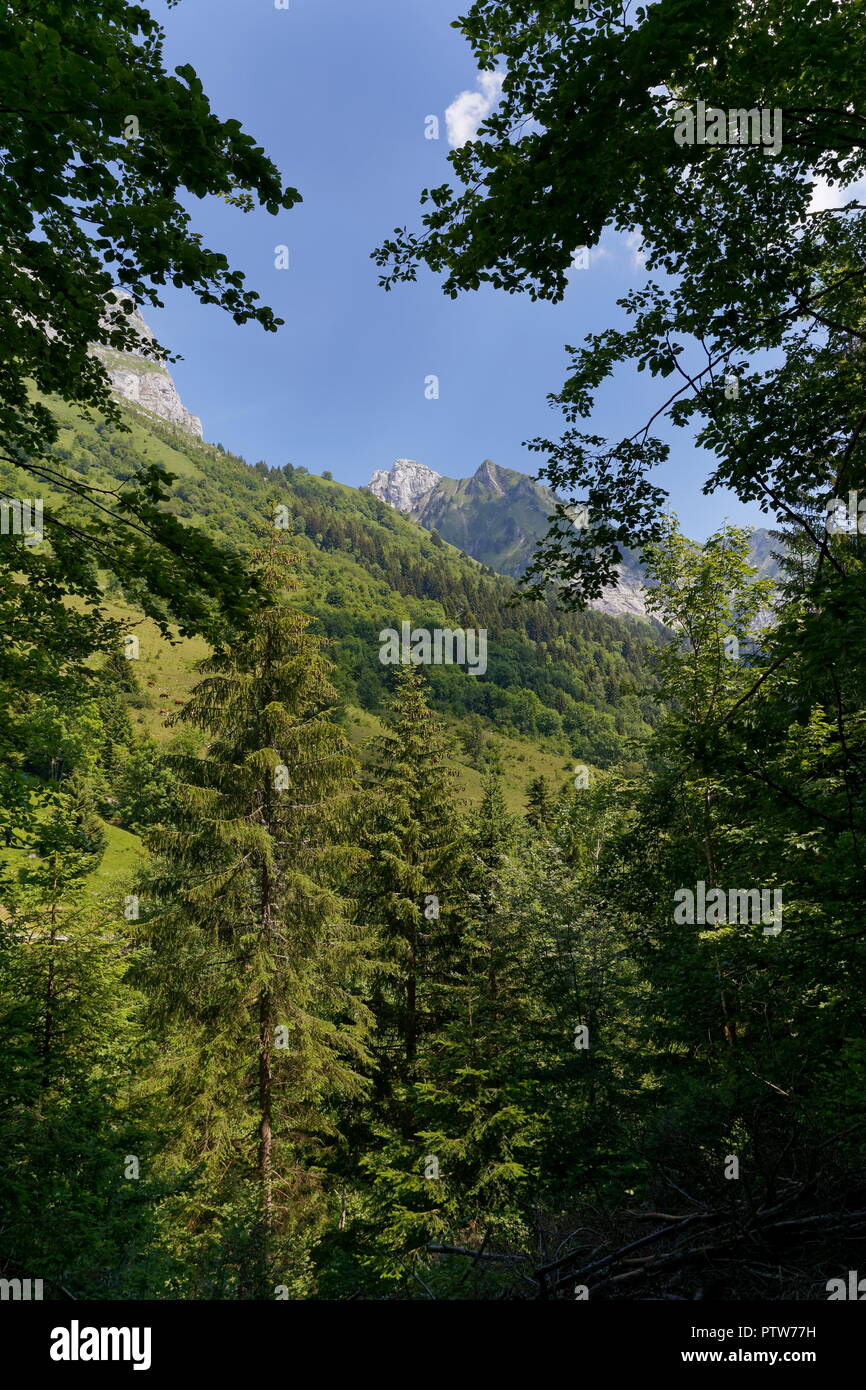 View of montains and hillside through tree foliage nr Montmin France Stock Photo