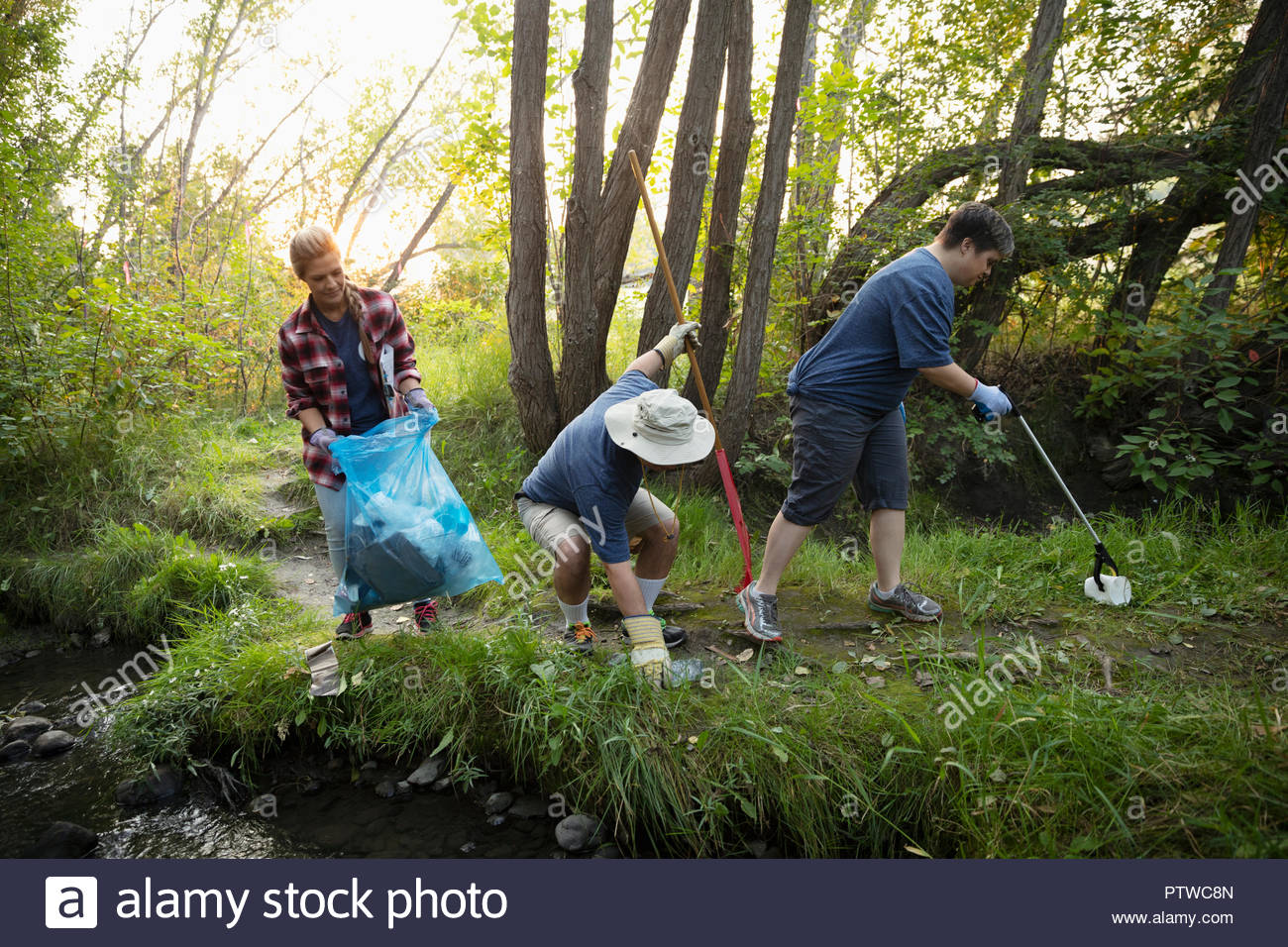 People volunteering, cleaning up garbage in woods Stock Photo Alamy