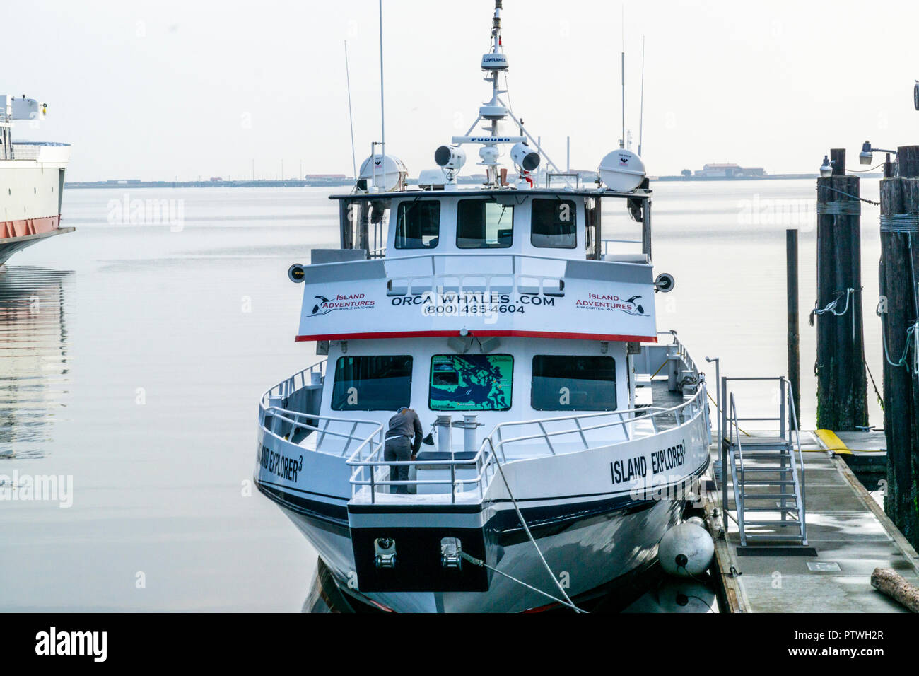 Whale watching tours hi-res stock photography and images - Alamy