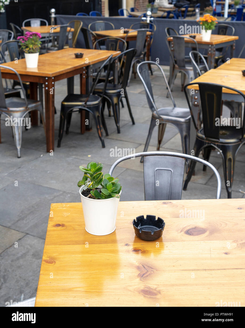 Table top with plant decoration and ash tray Stock Photo