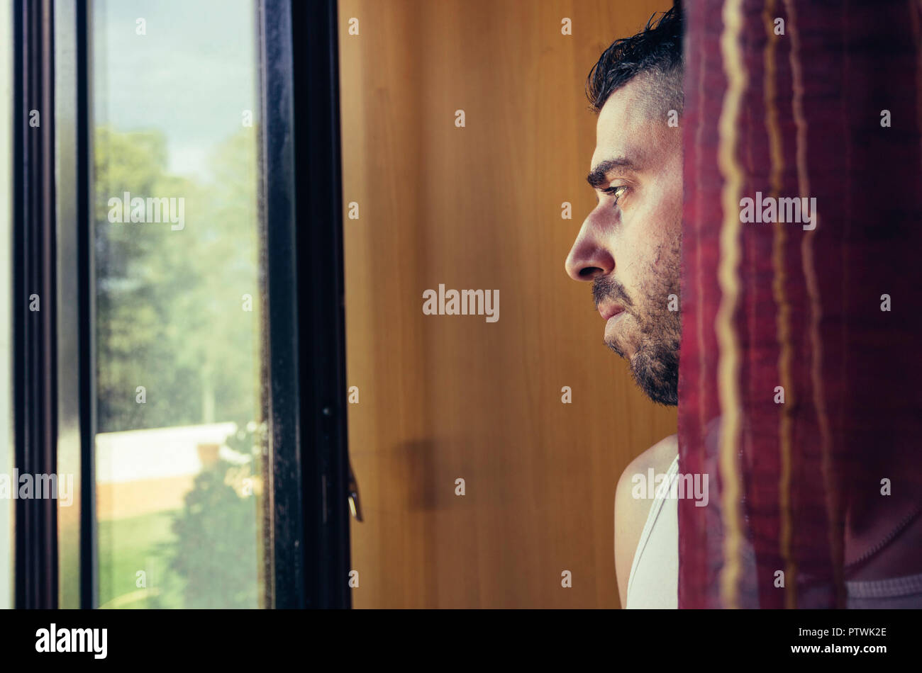 Face of attractive young man with beard between the curtains looking thoughtfully out the window Stock Photo