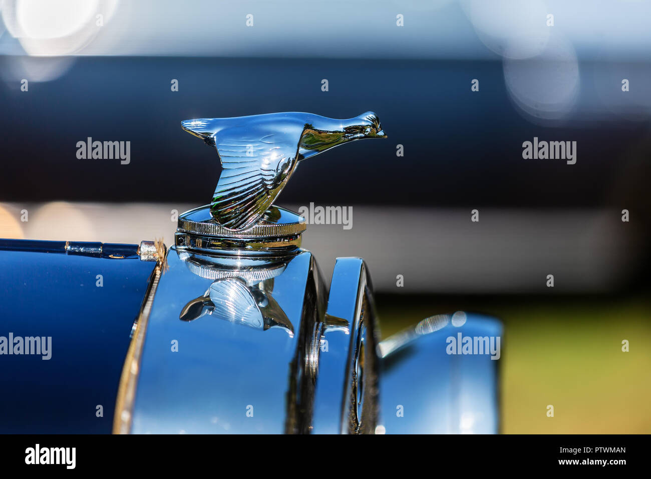 picture of a hood ornament on the radiator of a historic car Stock ...