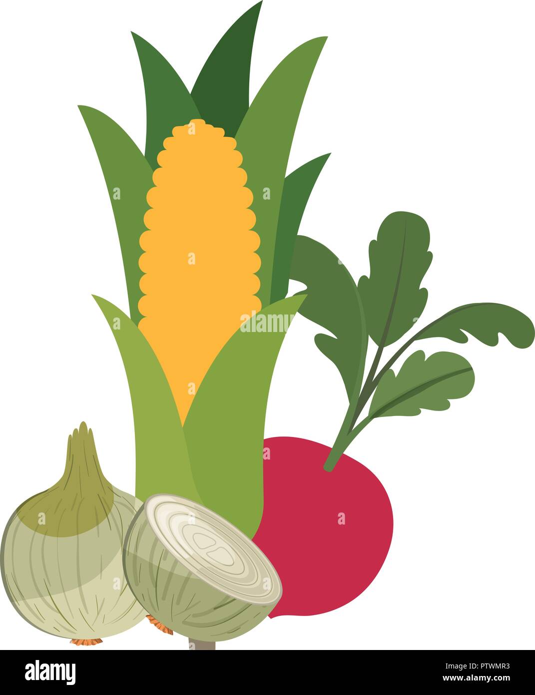 Beautiful root vegetables Stock Vector Images - Alamy