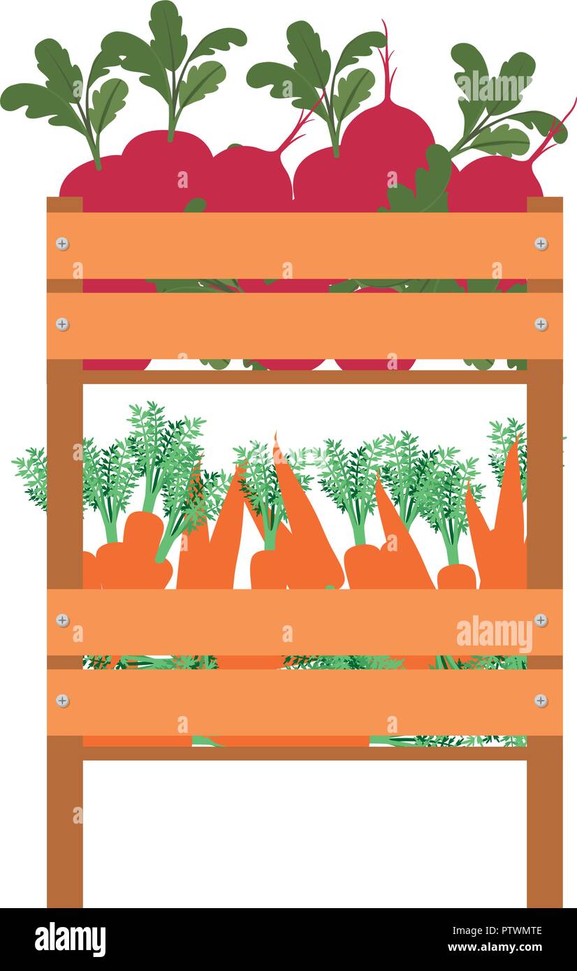box with vegetables isolated icon Stock Vector Image & Art - Alamy
