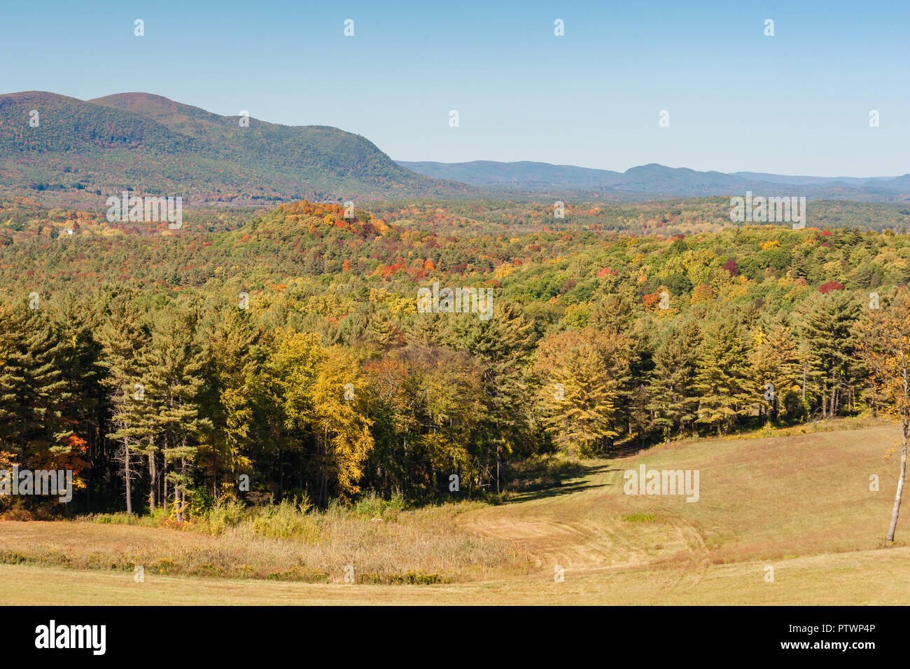 View of vivid fall color Berkshire Hills and forest, Mass. USA Stock Photo