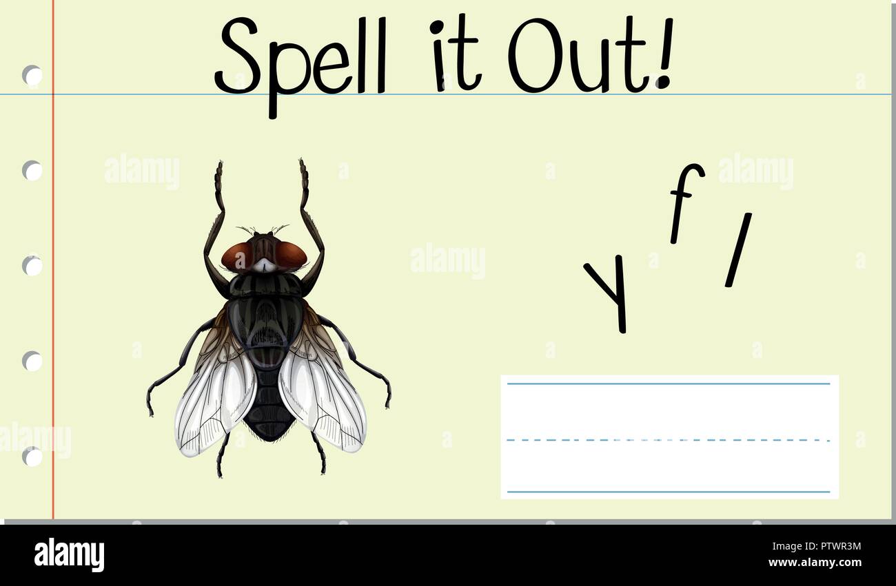 Fly Word In English
