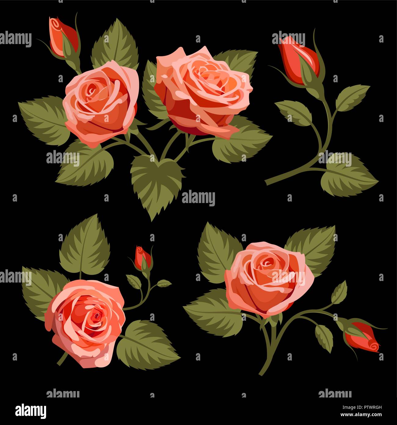 Black And Red Rose Background Design