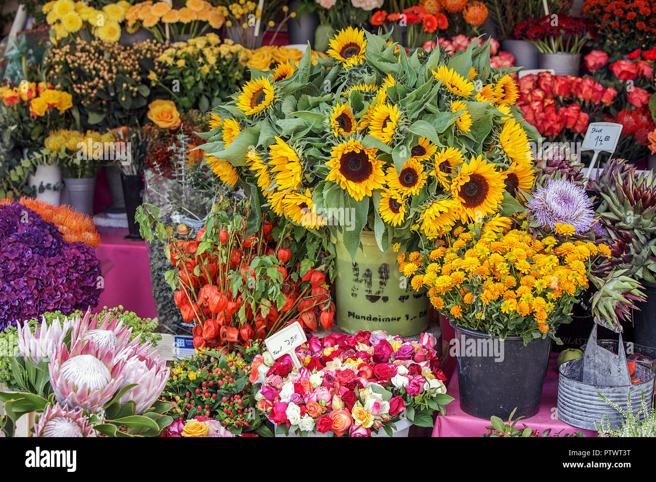 Beautiful array and display of flowers/blummen viewed here in Munich's outdoor market. Stock Photo