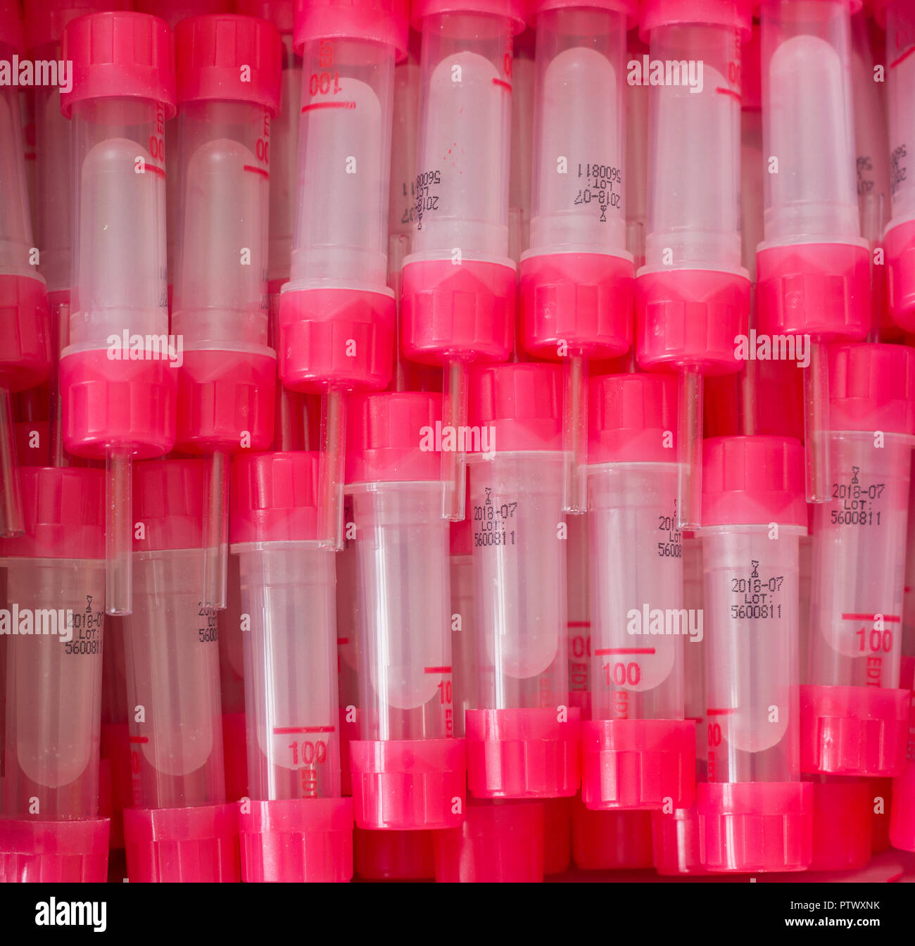 Red blood lancets Stock Photo