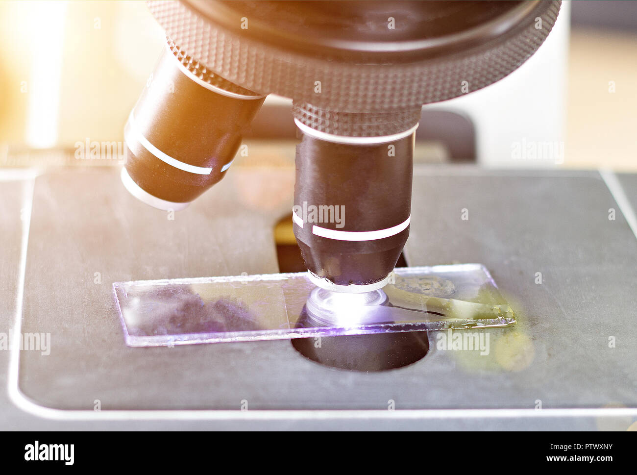Blood analysis microscope, closeup Stock Photo Alamy