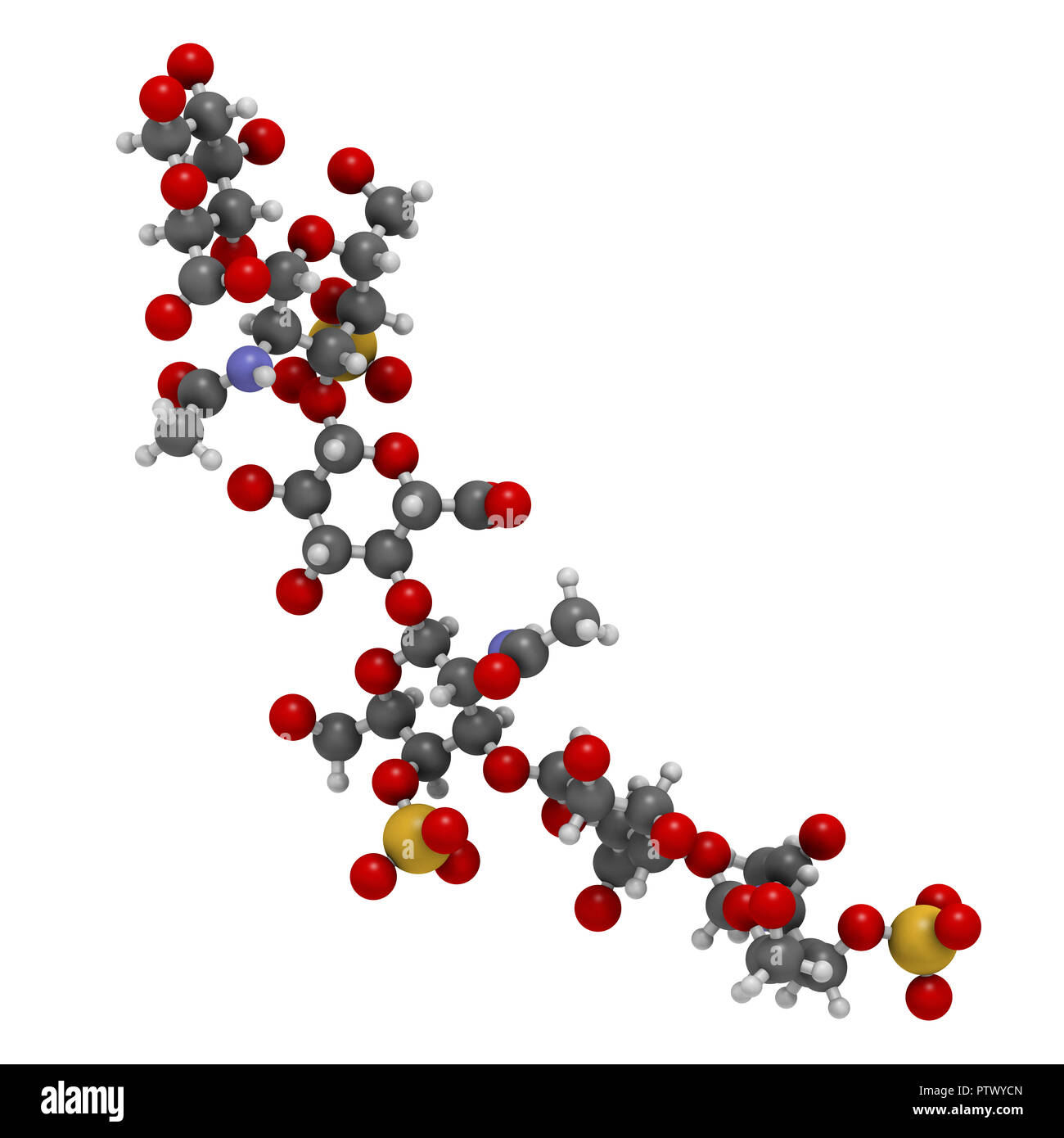 Chondroitin sulphate (short fragment). Important component of cartilage