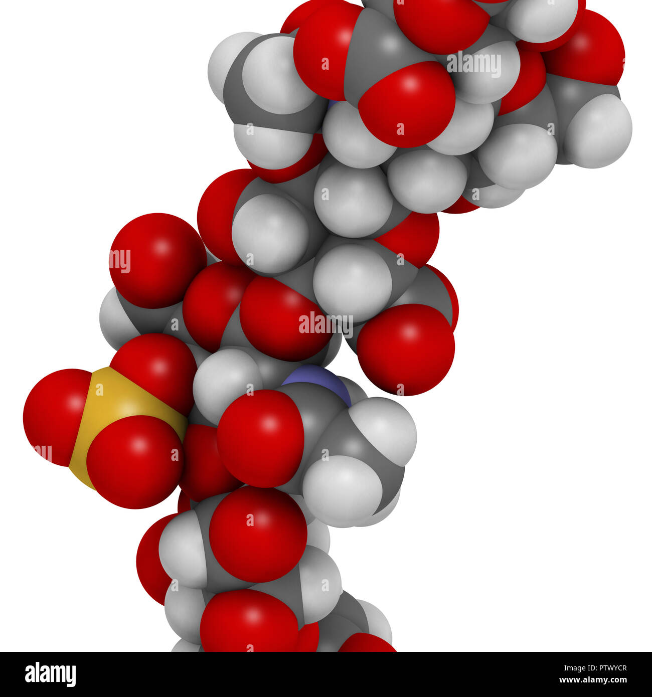 Chondroitin sulphate (short fragment). Important component of cartilage. Used as dietary supplement in treatment of osteoarthritis. 3D rendering. Atom Stock Photo