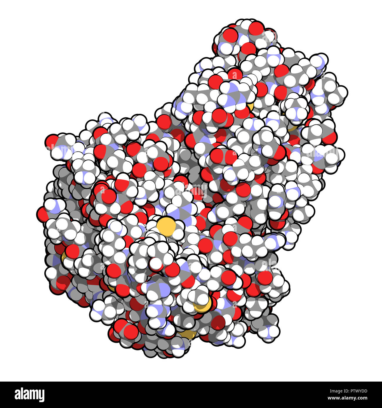Janus kinase 1 protein. Part of JAKSTAT signalling pathway and drug