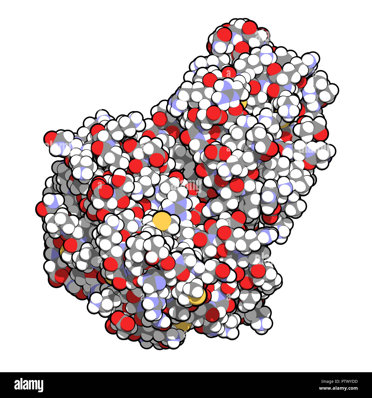 Janus kinase 1 protein. Part of JAK-STAT signalling pathway and drug target. 3D rendering. Atoms are represented as spheres with conventional color co Stock Photo