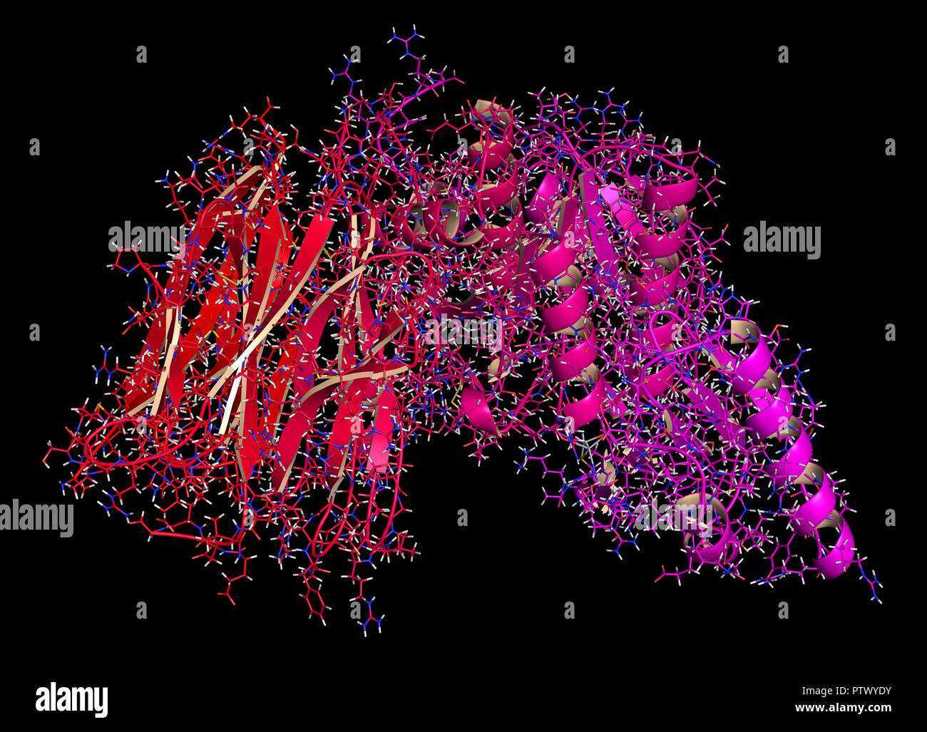 Proprotein convertase subtilisin kexin type 9 (PCSK9) protein. Target of multiple investigational cholesterol lowering drugs. 3D rendering, cartoon +  Stock Photo