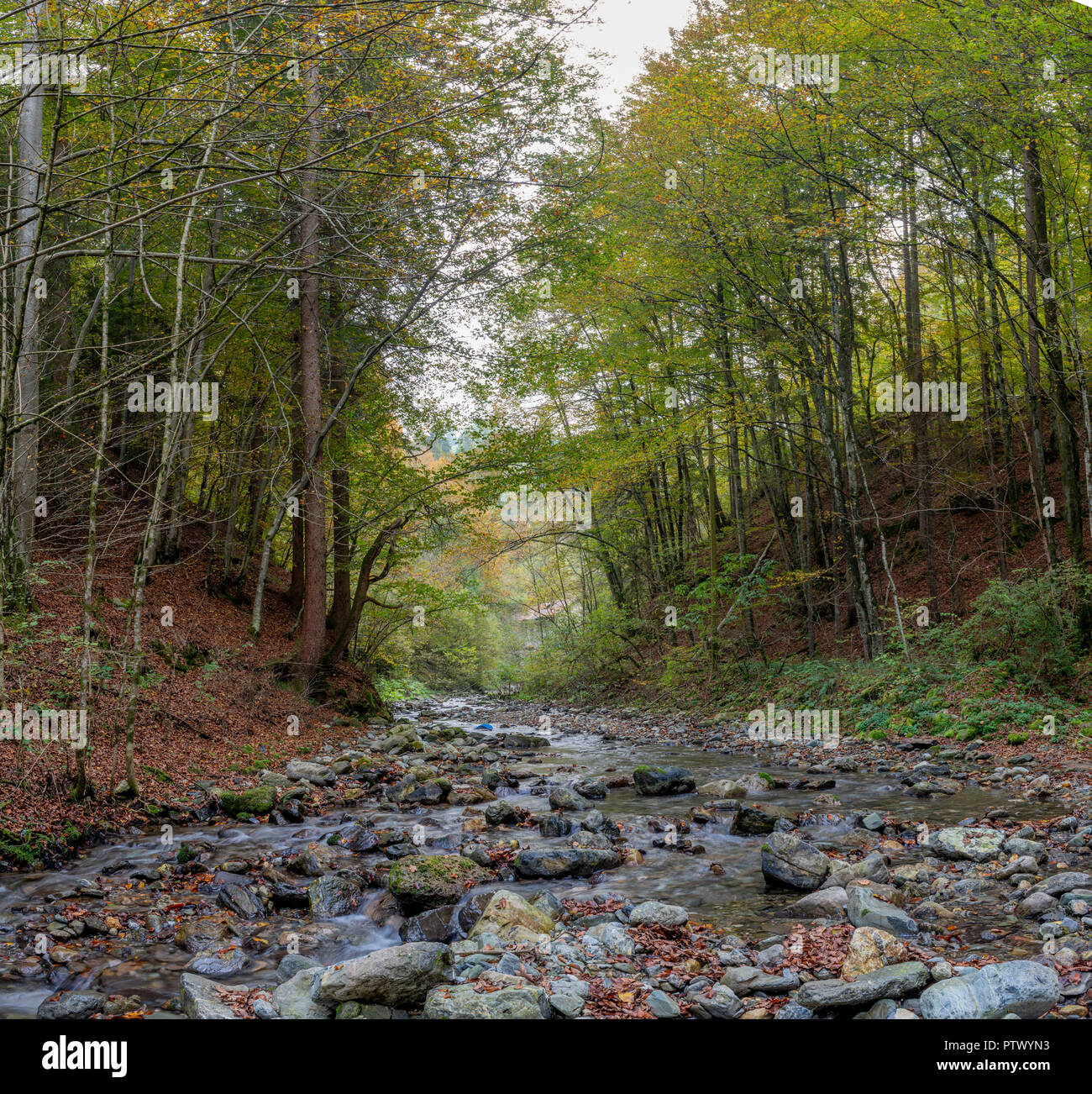 Beautiful view river in middle hi-res stock photography and images - Alamy