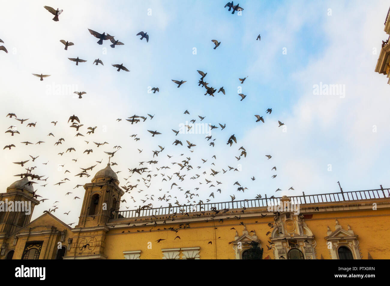 A flock of pigeons fly in circles against a blue sky around San Francisco Church, in Lima, Peru, a twin bell-tower cathedral that is painted yellow. Stock Photo