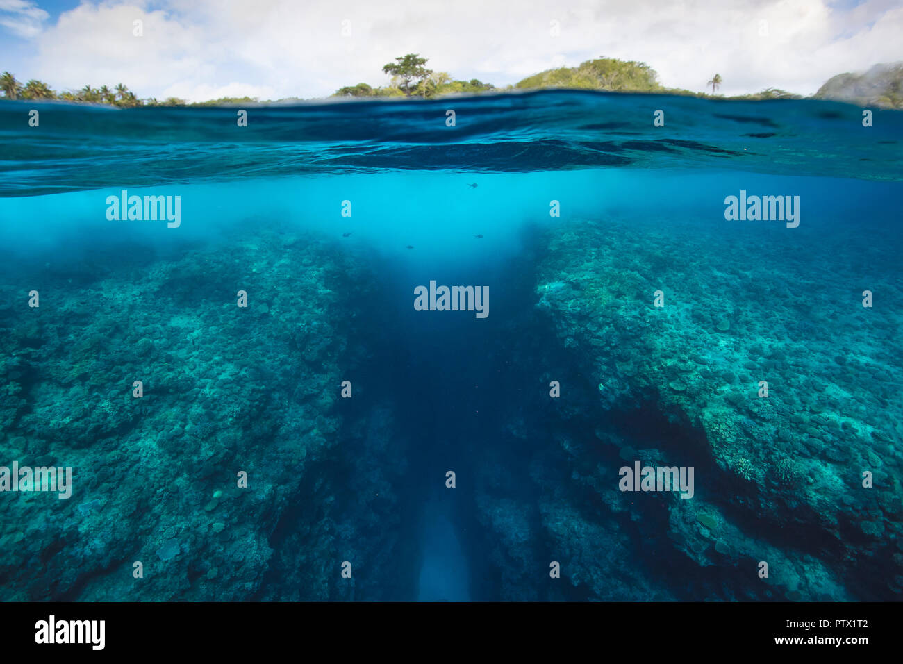 Split shot underwater photograph of reef along Niue Island's coastline Stock Photo
