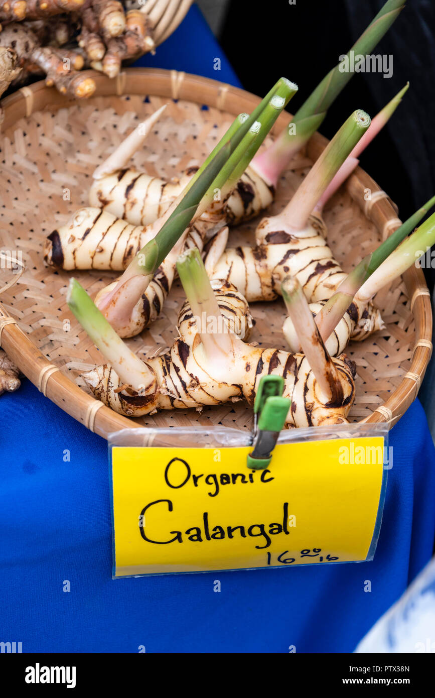Organic Galangal on display at the farmers market Stock Photo