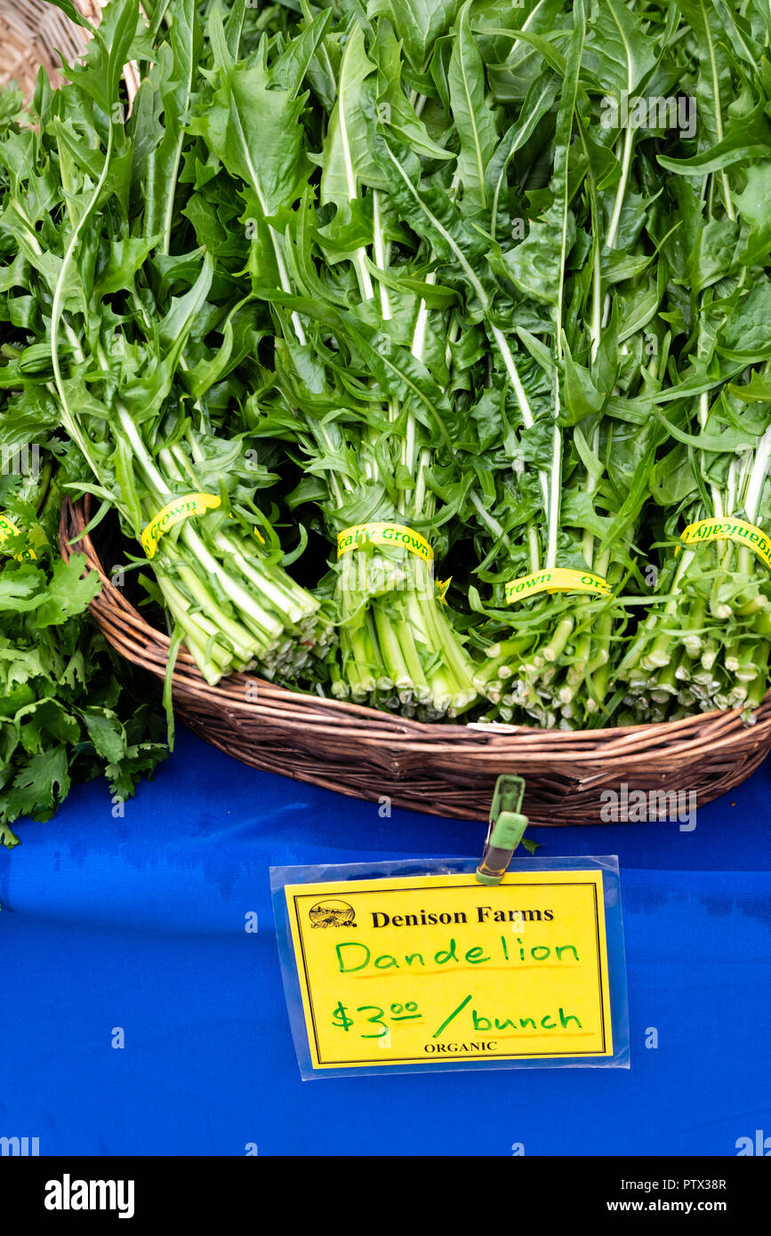 Dandelion Greens on display at the farmers market. Stock Photo