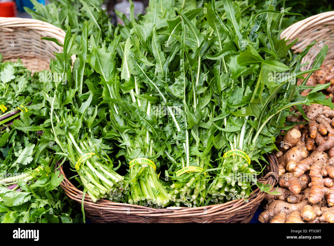 Dandelion Greens on display at the farmers market. Stock Photo