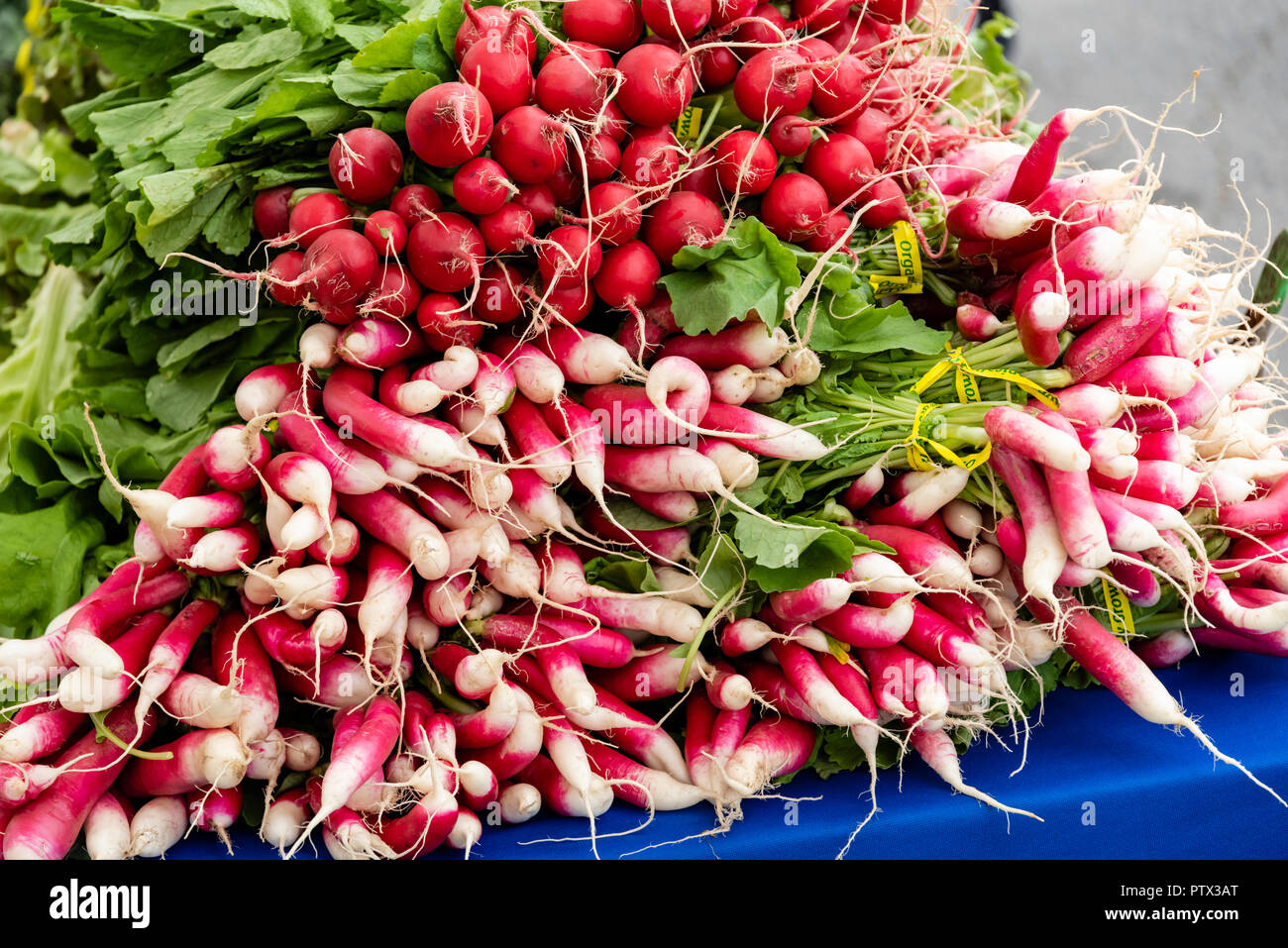 Radishes on display at the farmers market Stock Photo