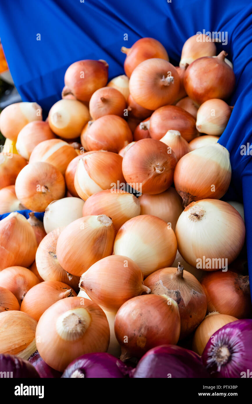 Yellow onions on display at the farmers market Stock Photo