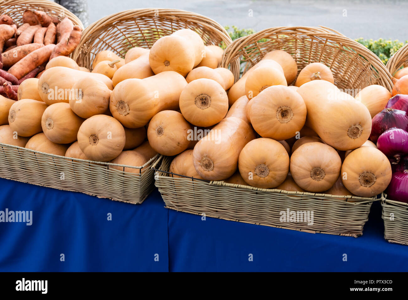 Butternut squash on display at the farmers market Stock Photo