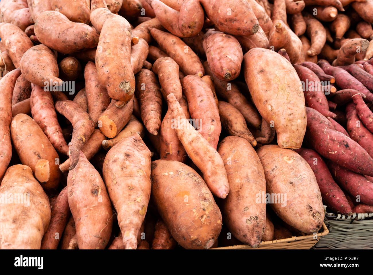 Sweet potatoes on display at the farmers market Stock Photo